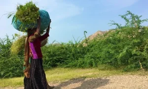 1460741970-1687413100-1083402158